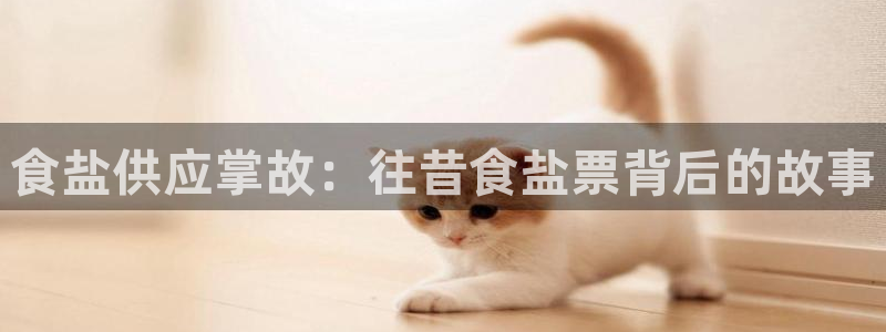 威九国际女