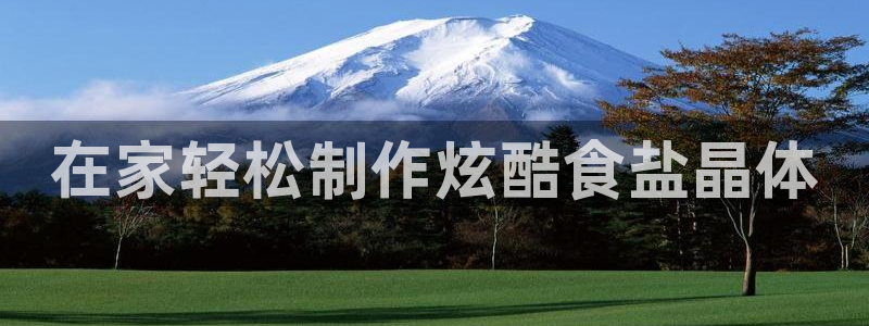 威九国际观看