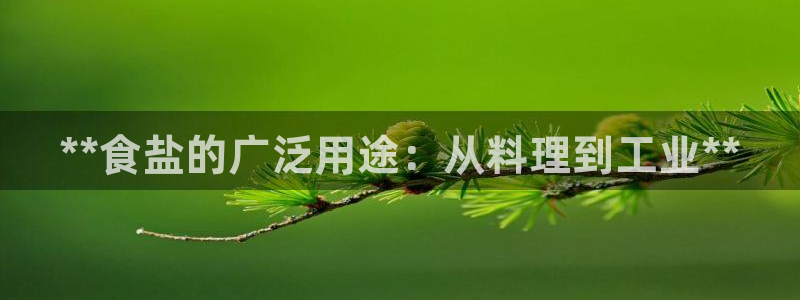 威九国际可以退钱吗怎么退的