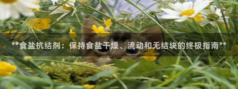 威九国际小广告