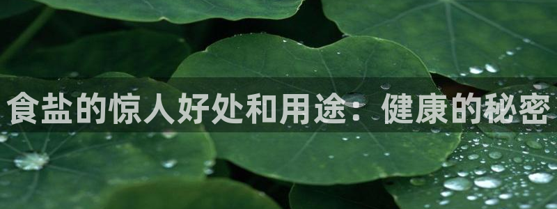威九国际v96 bet会黑吗