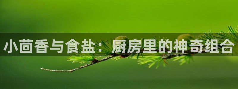 威九国际入口一