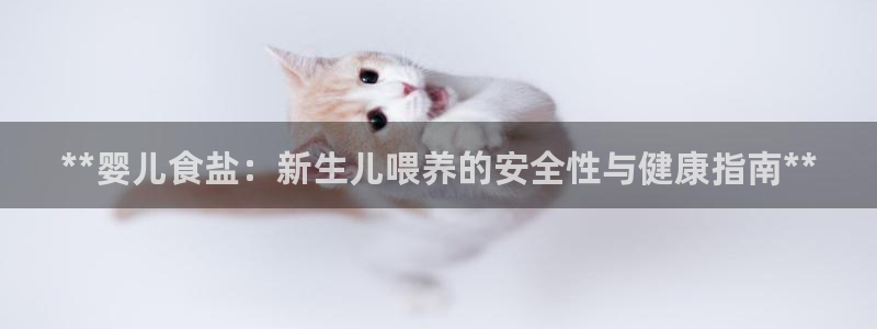 威九国际app入口官网