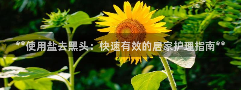 威九国际com