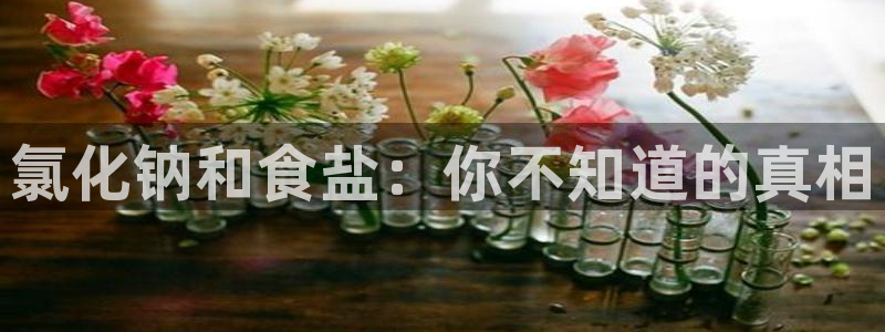 威九国际女星