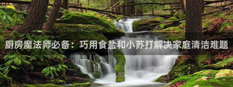 威九国际精选