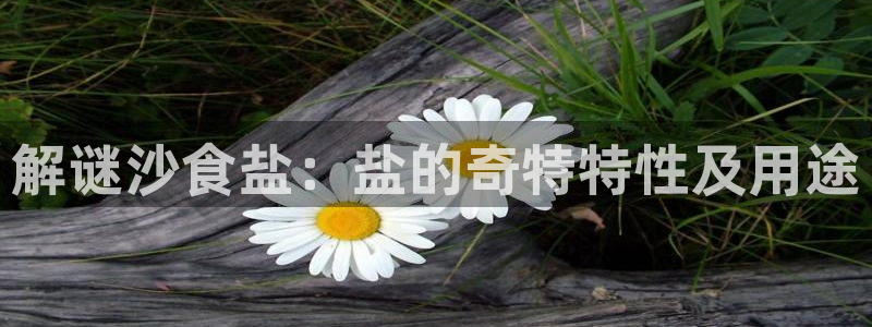 威九国际的金融服务有哪些