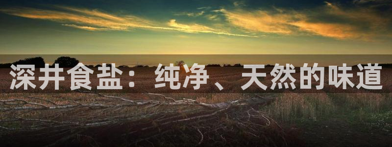 威九国际人民网招聘
