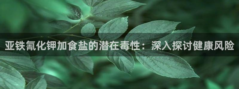 威九国际FT