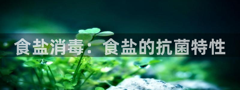 威九国际w98