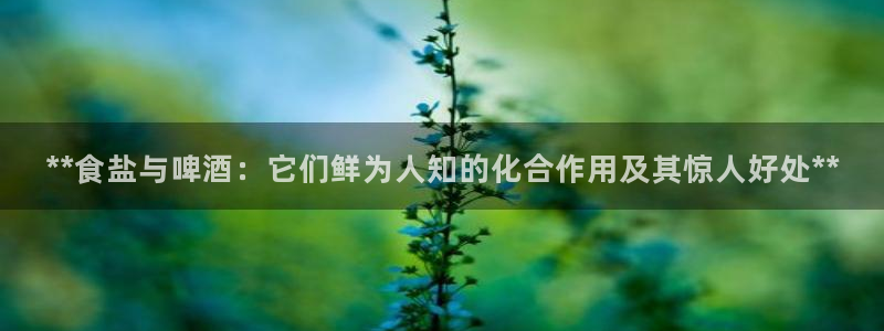威九国际网站下载