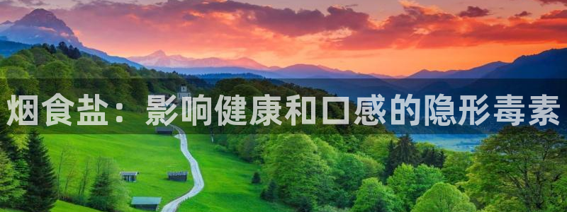 威九国际清砖码头在哪