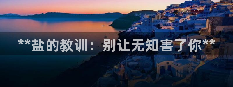 威九国际软件公司简介