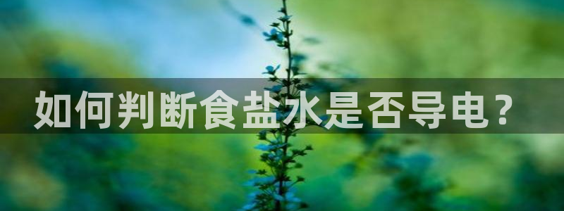 威九国际APP客服