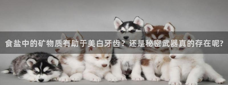 威九国际ppt免费