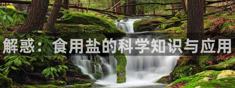 威九国际官网版下载