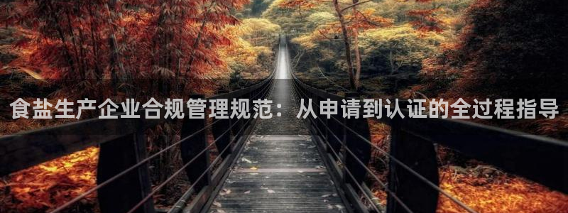 威九国际ppt官网