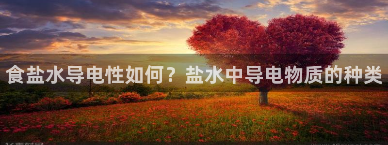 威九国际v96242cc官网版