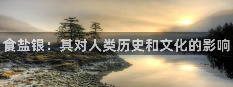 威九国际女主角