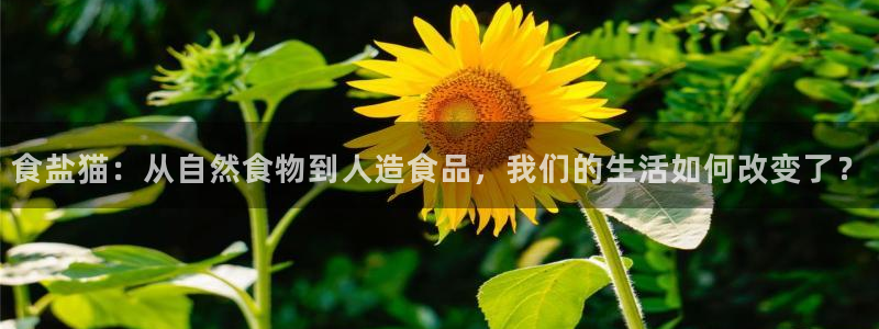 保定威九网络科技有限公司