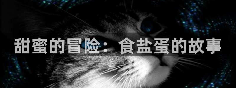 78mapp威九国际网页版