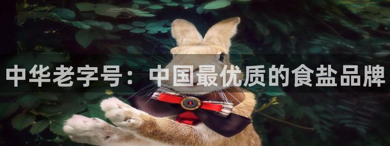 威九国际66m入口
