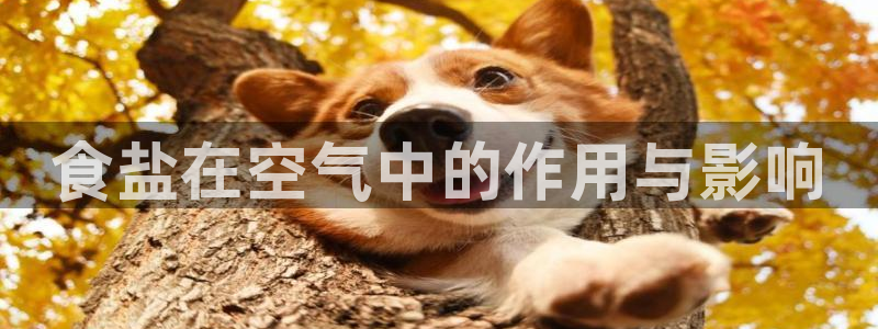 威九国际EVA