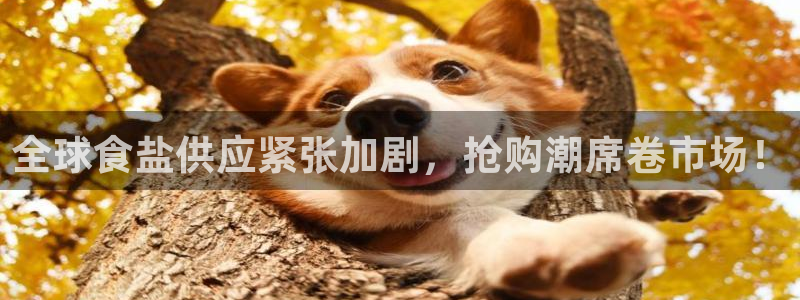 威九国际留学