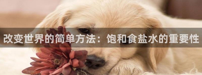 威九国际MM
