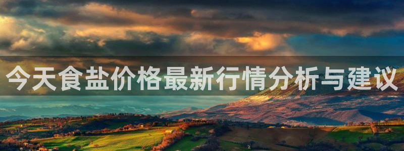 保定威九网络科技有限公司
