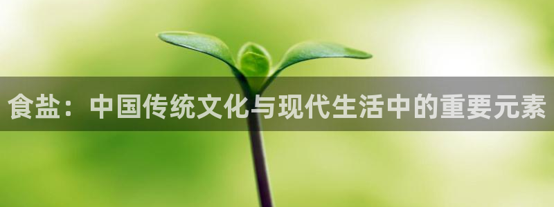 威九国际入口一